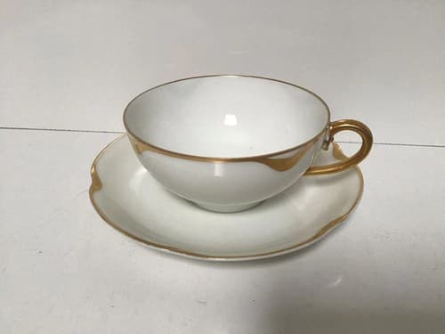 Haviland & Co. Limoges Antique Teacup and Saucer Set circa 1900 - image 1