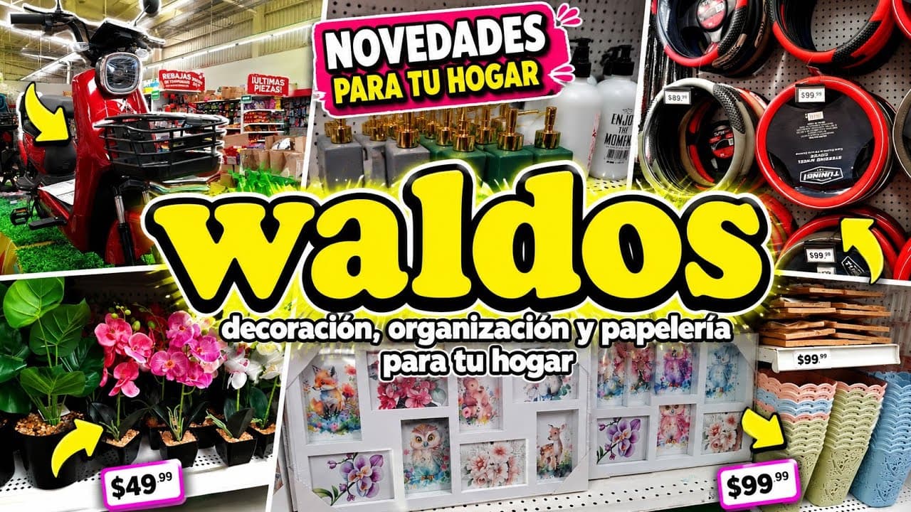Recorrido y novedades en Waldos 20 de junio del 2026 - image 1