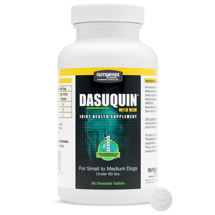 Nutramax Dasuquin with MSM Chewable Joint Supplement for Dogs - image 1