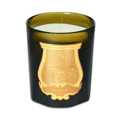 Trudon Ernesto Classic Candle - image 1