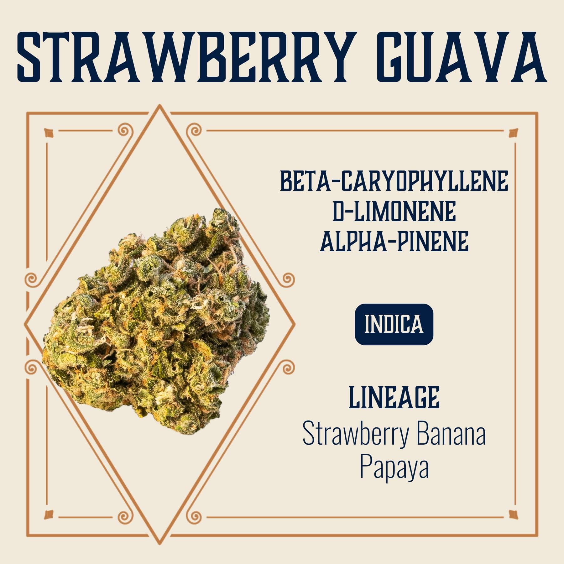 Strawberry Guava | 3.5g | Elevate - image 1