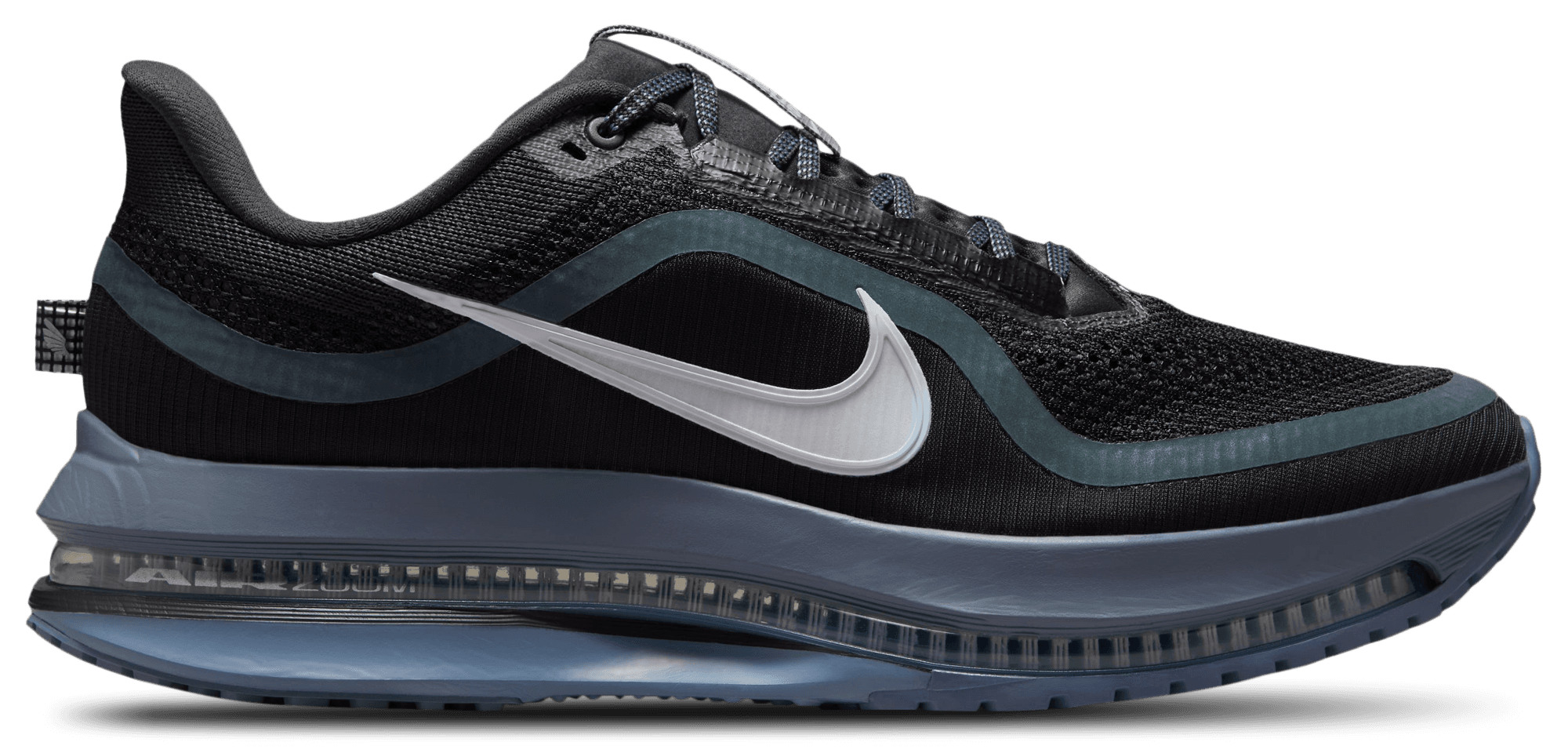Nike Pegasus Premium - Men's - image 1