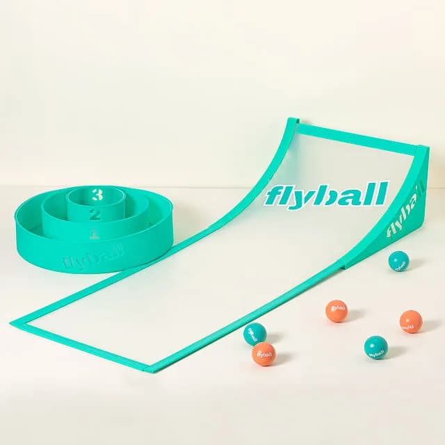 Flyball Lawn and Beach Game - image 1