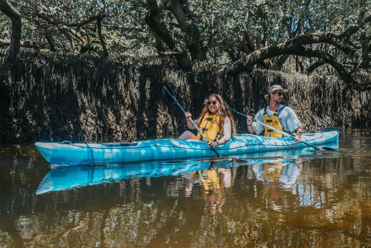 Dolphin Sanctuary Eco Kayak Tour - Hire/Self Guided Double Kayak - image 1