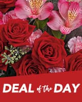 Deal of the Day Local Florist Designed Bouquets - image 1