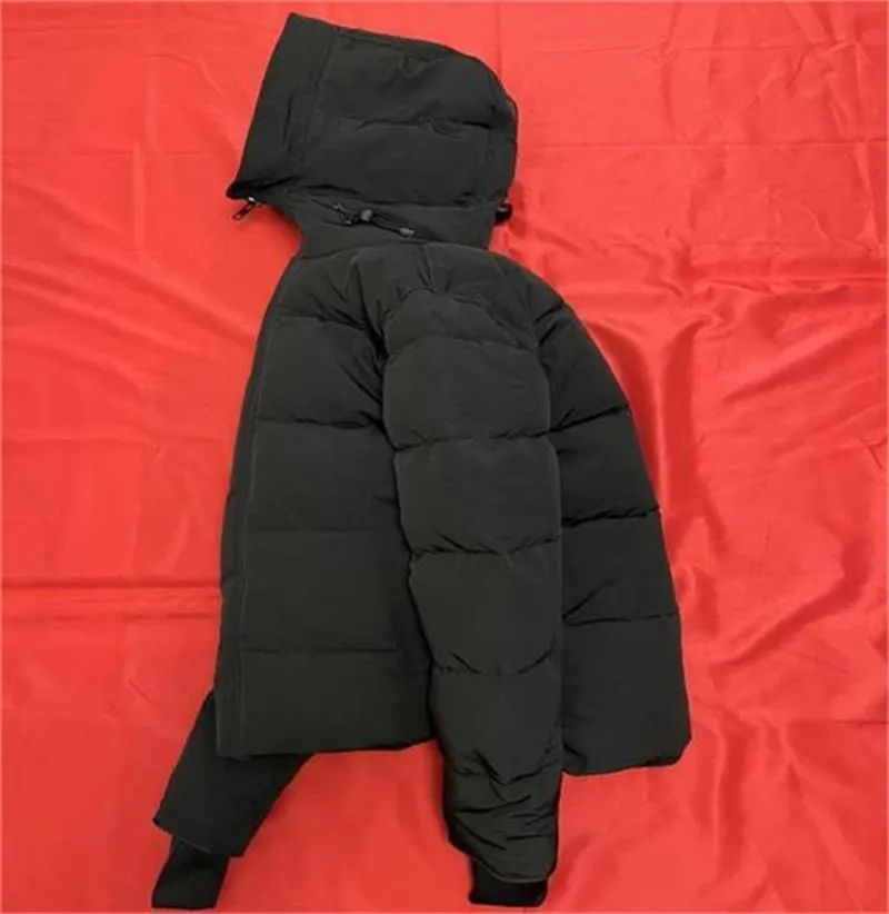 Men's Down Jacket with Hooded Fur, Outdoor Winter Coat - image 1