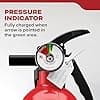 Kidde Multi-Purpose Fire Extinguisher 1A10BC, 2 Pack - image 1