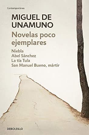 Novelas poco ejemplares - image 1