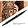 Tiiyee 10 Pcs Tattoo Pen Tattoo Skin Marker Marking Scribe Pen Fine and Reg Tip Tattoo Stencil Markers Pen (Black) - image 1