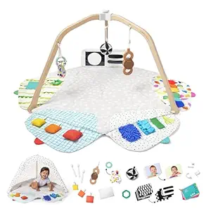 LOVEVERY | The Play Gym | Award Winning For Baby , Stage-Based Developmental Activity Gym & Play Mat for Baby to Toddler - image 1
