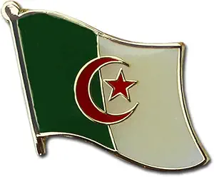 Algeria Flag Die-Struck Metal Single Lapel Pin with Butterfly Clasp Closure - image 1