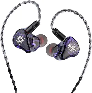 Kiwi Ears Quartet in Ear Monitor, 2DD+2BA Hybrid IEM Earphone, HiFi Wired Earbuds, Studio Monitor in Ears with Hand-Crafted Resin Shell, Detachable IEM Cable for Audiophile Musician Gamer - image 1