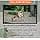 GardePro A3S Wildlife Camera, 64MP 1296p, Trail Camera with H.264 Video, Next-Gen Imaging Technology, 100ft No Glow Night Vision, 0.1s Trigger Speed Motion Activated, Camera Traps for Garden - image 1