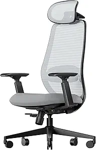 ProtoArc Ergonomic Office Chair EC200 High-Back Mesh Computer Chair with Lumbar Support - image 1