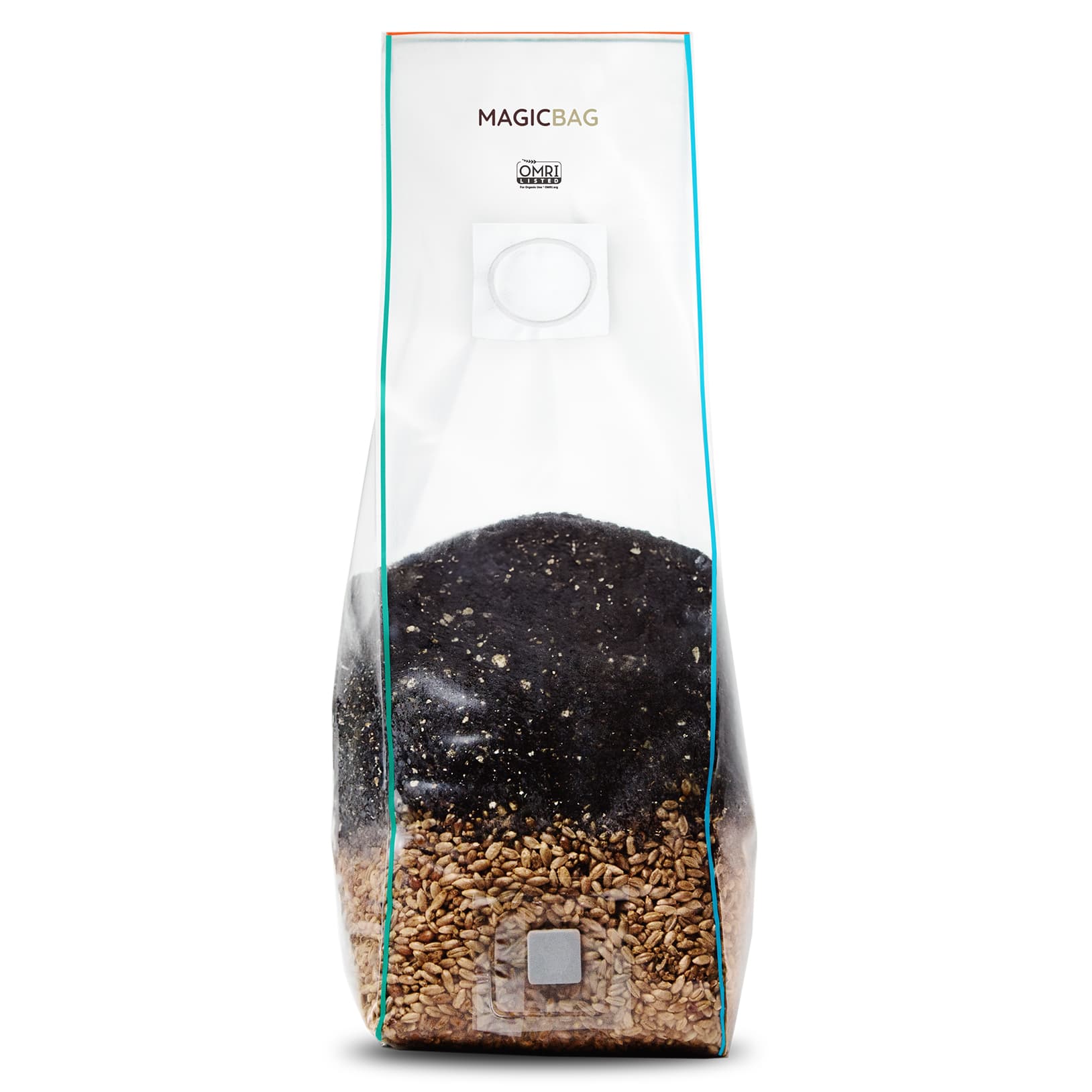 The Magic Bag Organic Mushroom Grow Bag Large 4 lb - image 1