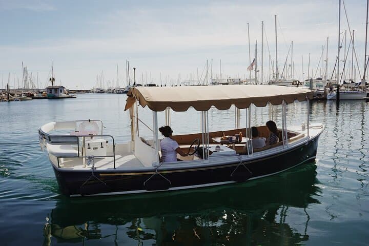 Private Harbor Cruise on Electric Boat in Santa Barbara - image 1