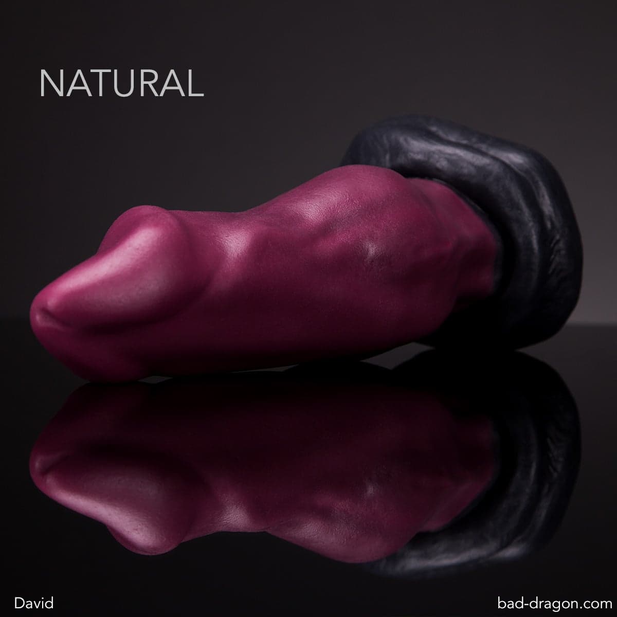 David Dildo by Bad Dragon® | Bad Dragon - image 1
