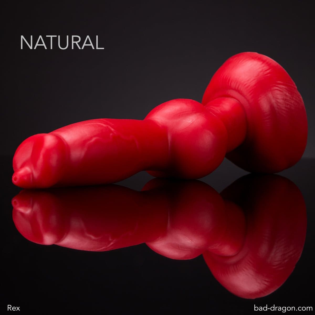 Rex® | Bad Dragon - image 1
