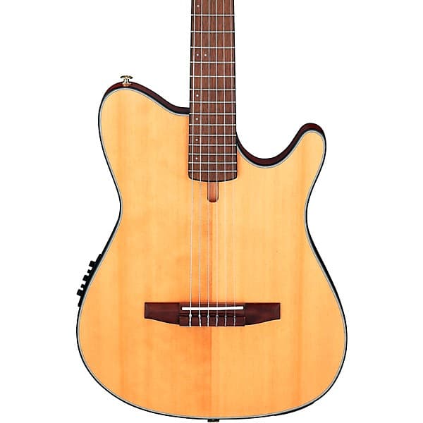 Ibanez FRH10N Nylon-String Acoustic-Electric Guitar Natural Flat - image 1