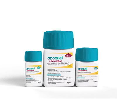 Heartworm, Flea and Tick Preventative Chewable Tablets for Dogs - image 1