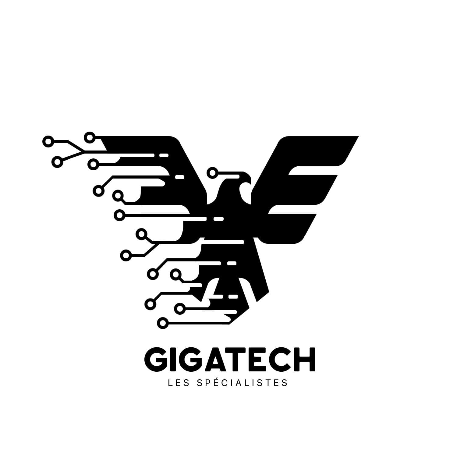 MEGA: Les Spécialistes du Tech en Tunisie - image 1
