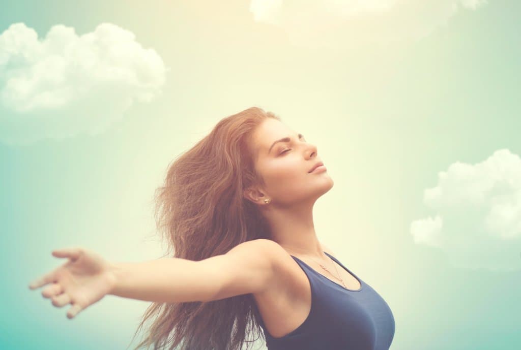 Brain Fog Recovery Program - image 1
