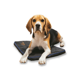 Petspemf Pad - Large - image 1