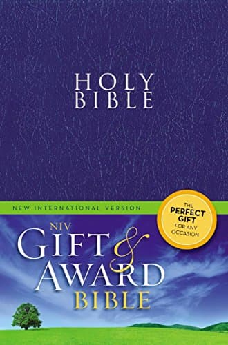 NIV, Gift and Award Bible, Leather-Look, Blue, Red Letter Edition - image 1