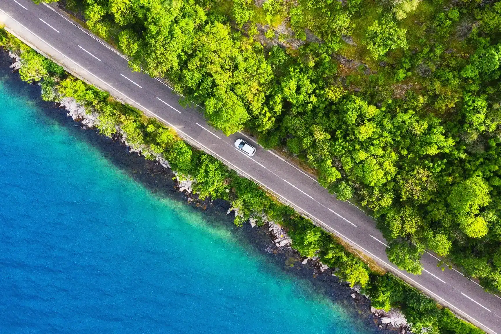 Carla - Cheap Car Rental Deals - image 1