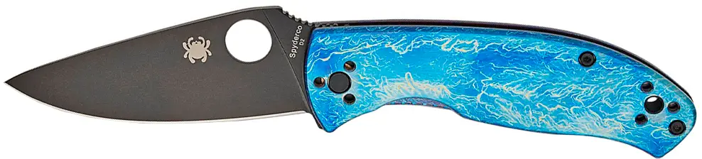 Spyderco Tenacious Folding Knife Black Blade D2 Steel Blue Titanium Handle - image 1