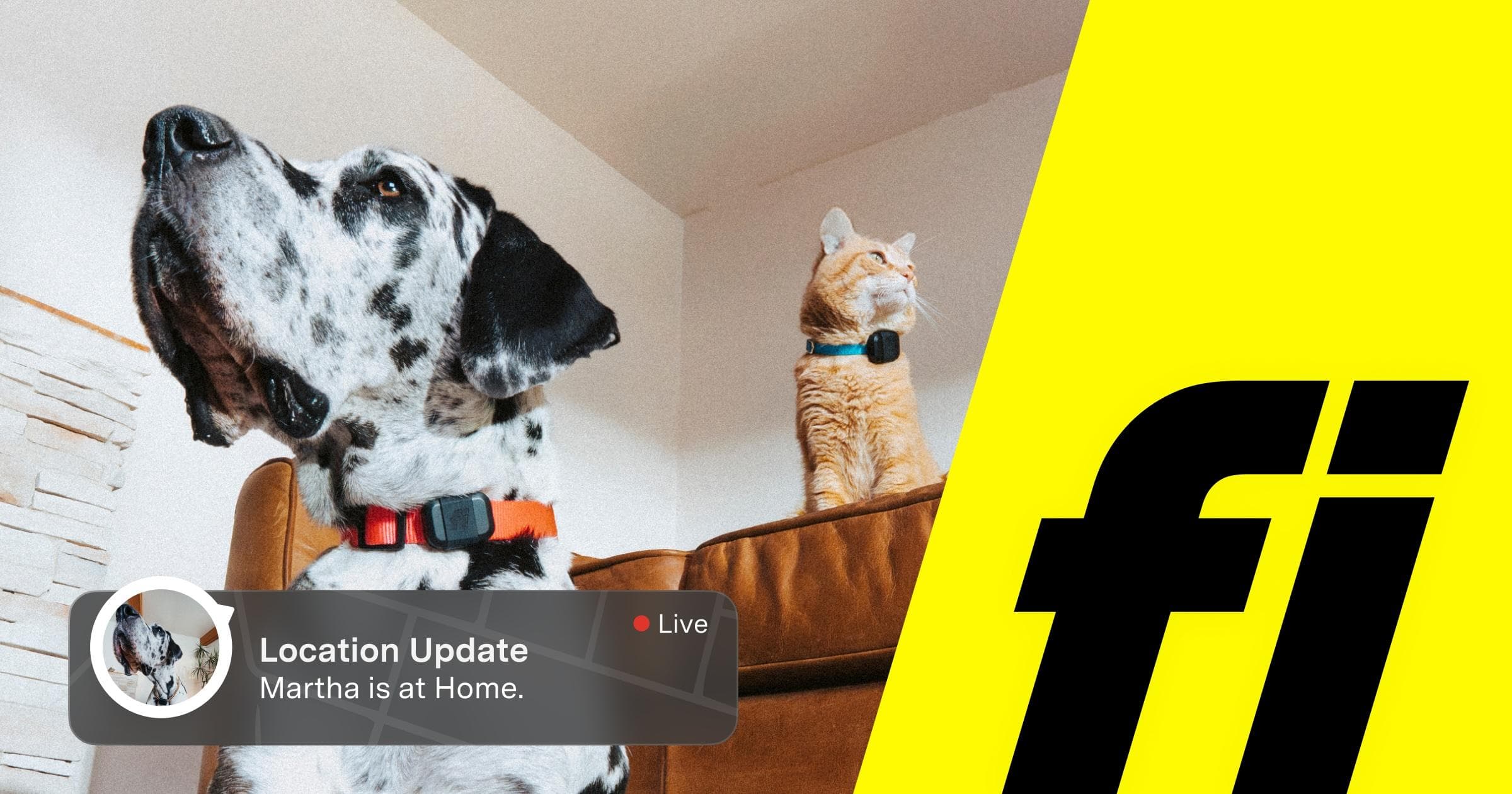 Fi Smart Dog Collar - image 1