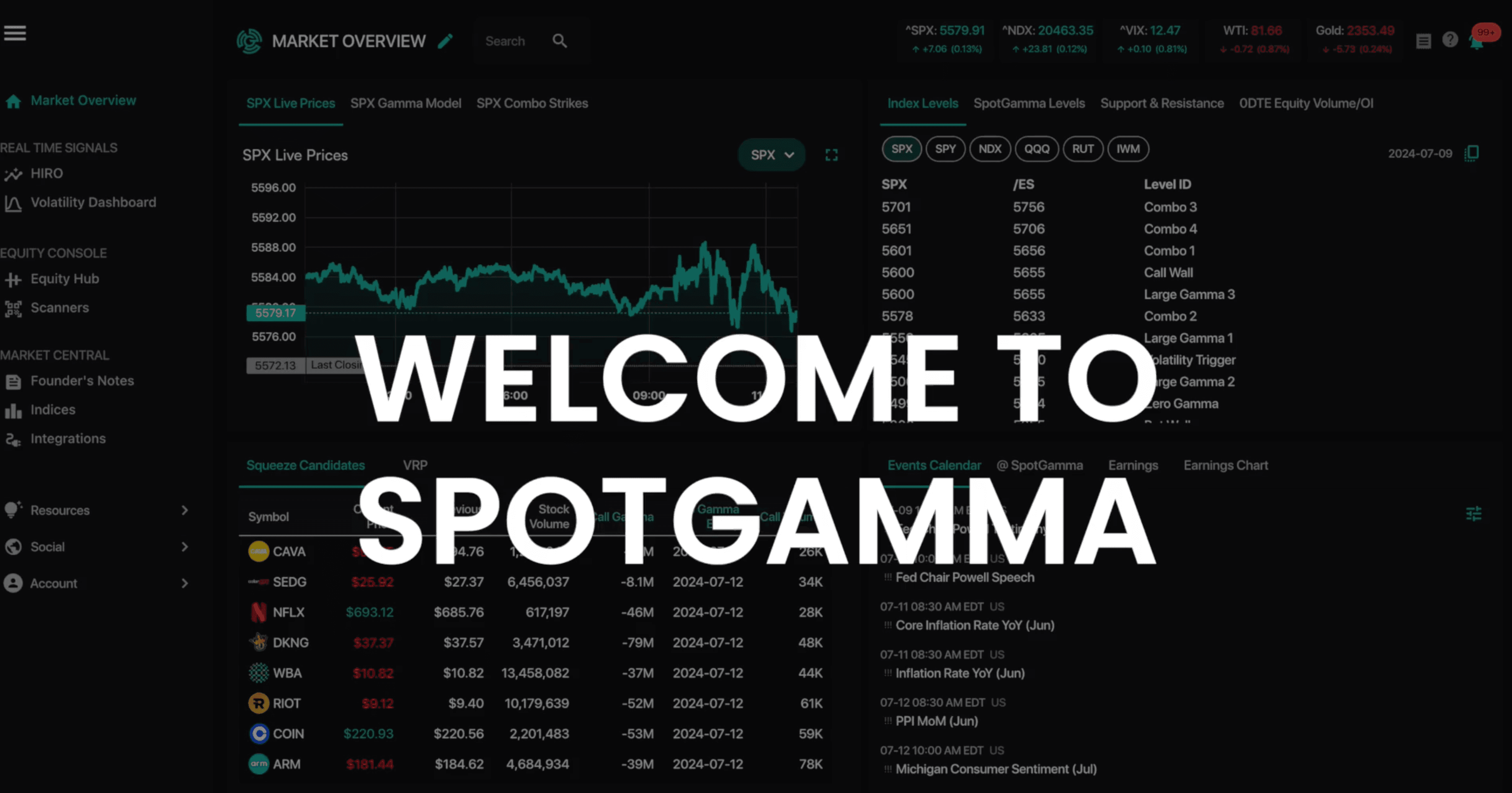 SpotGamma Options Market Analysis Subscription - image 1