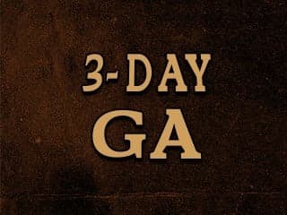 Weekend 3-Day General Admission Ticket - image 1