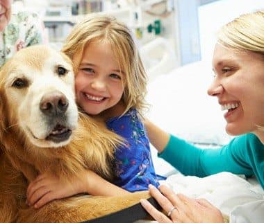 Service Animal Registry - US Service Animals - image 1