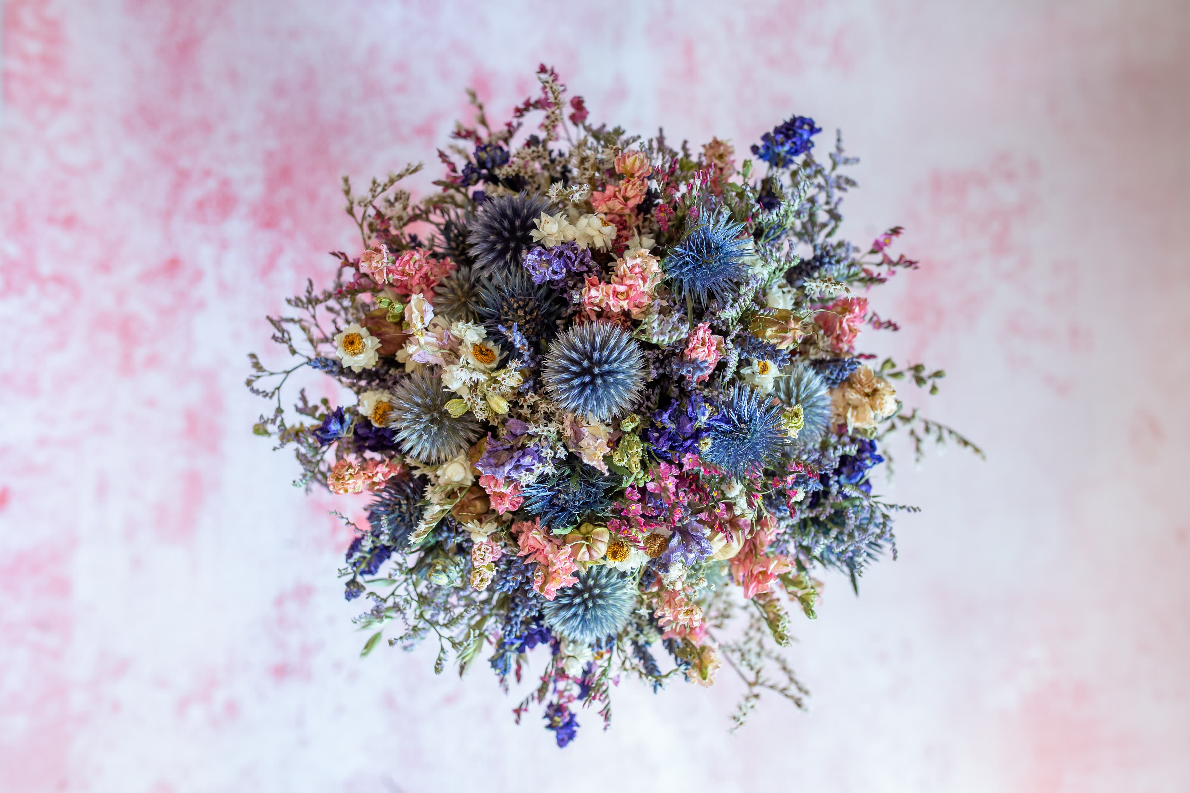 The Summer Thistle Collection - image 1