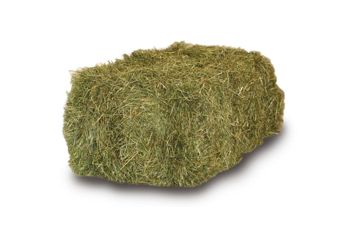 Samerberger Wiesenheu für Kleintiere als Bündel – 12 kg - image 1