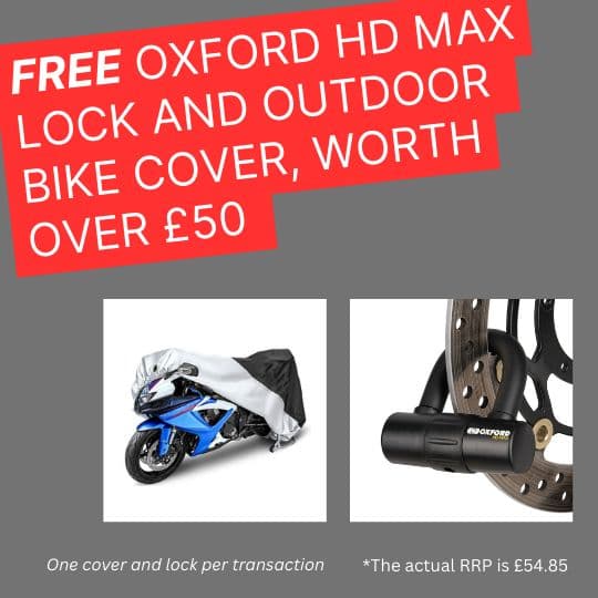 Oxford Beast Lock and Chain - image 1