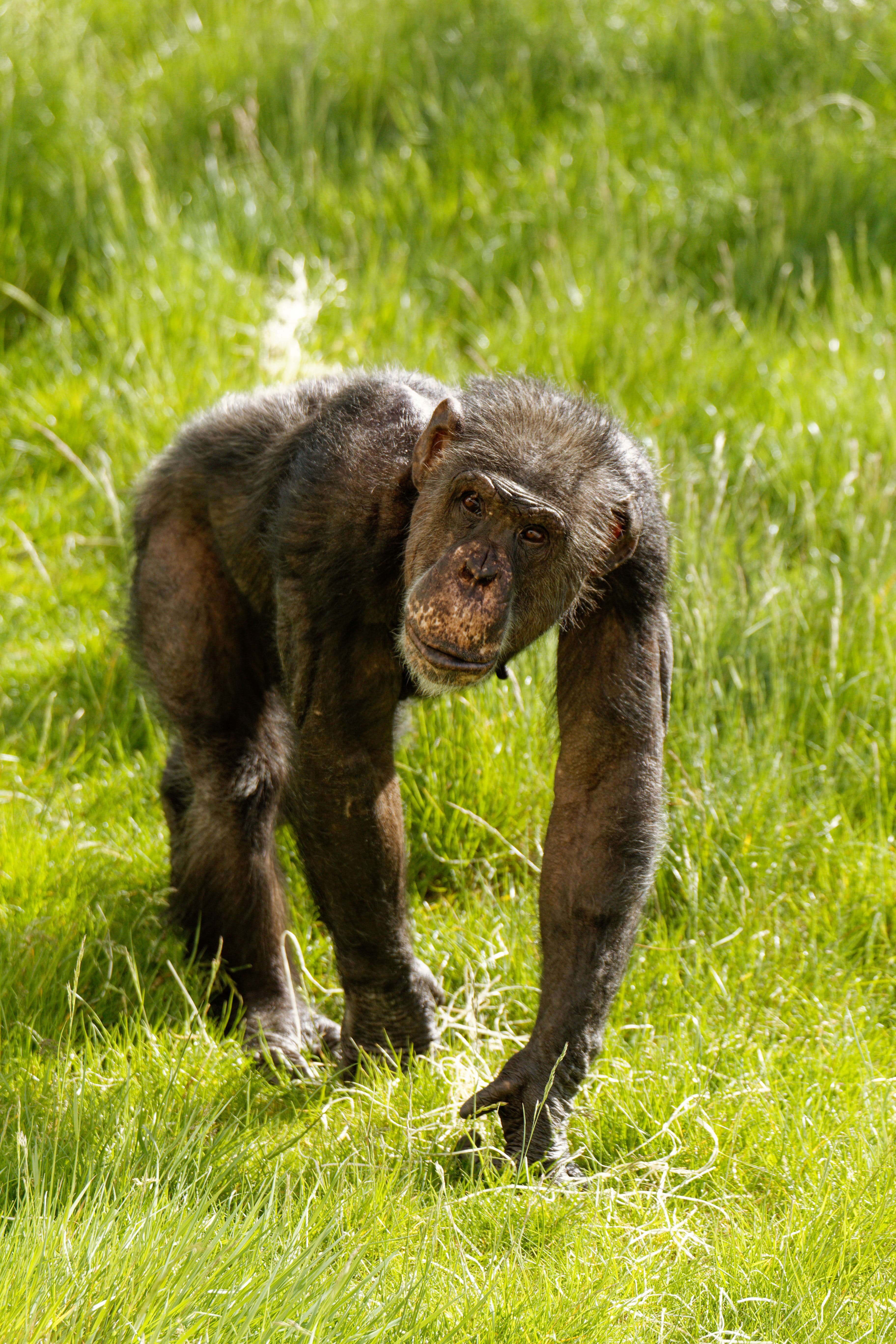 Twycross Zoo & The Gruffalo Discovery Land - image 1