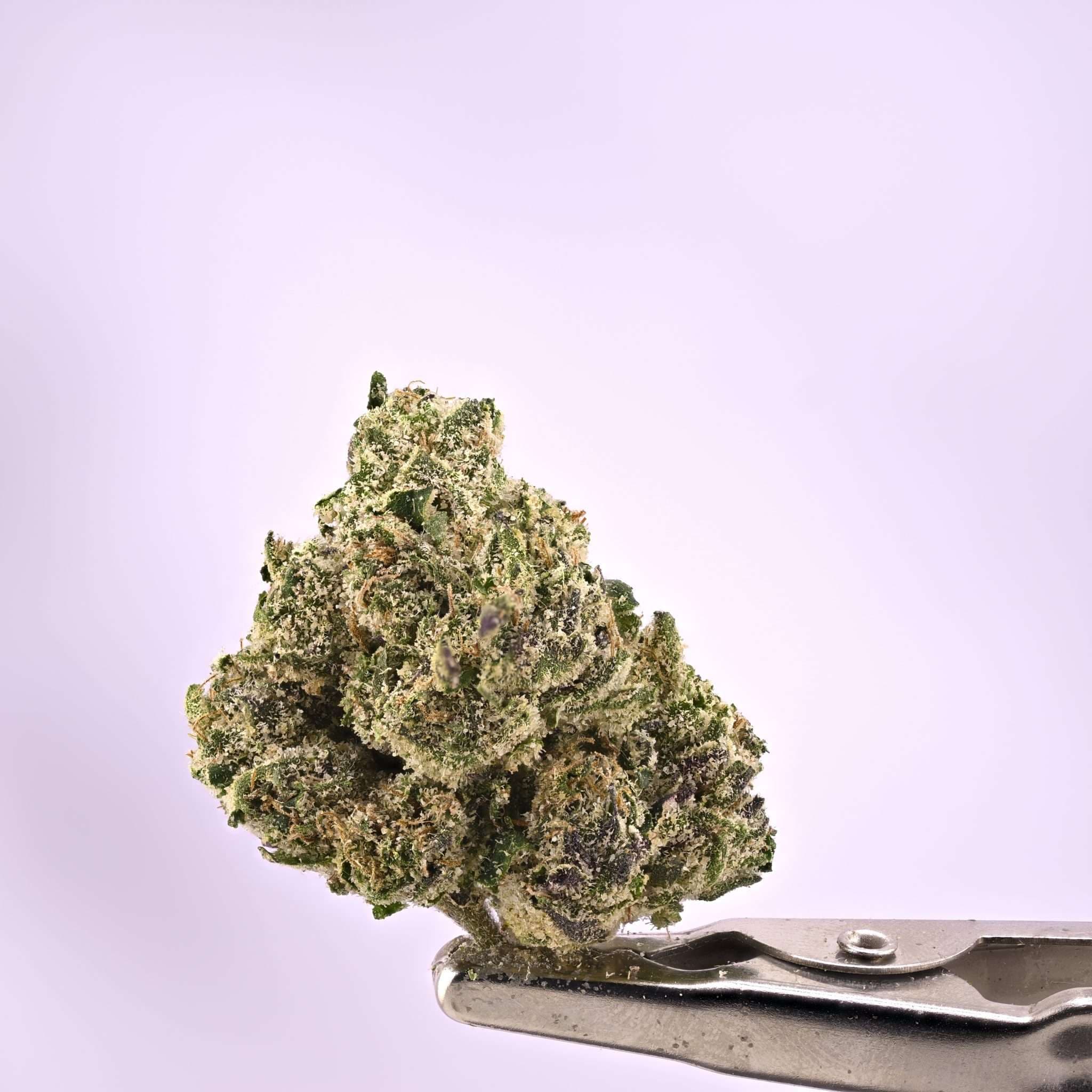 Burning Rope Pharms – Black Opz - image 1
