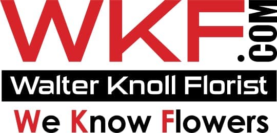 Same-Day Flower Delivery - Walter Knoll Florist, St. Louis MO - image 1