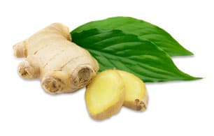 Double Ginger Loose Leaf Tea - image 1