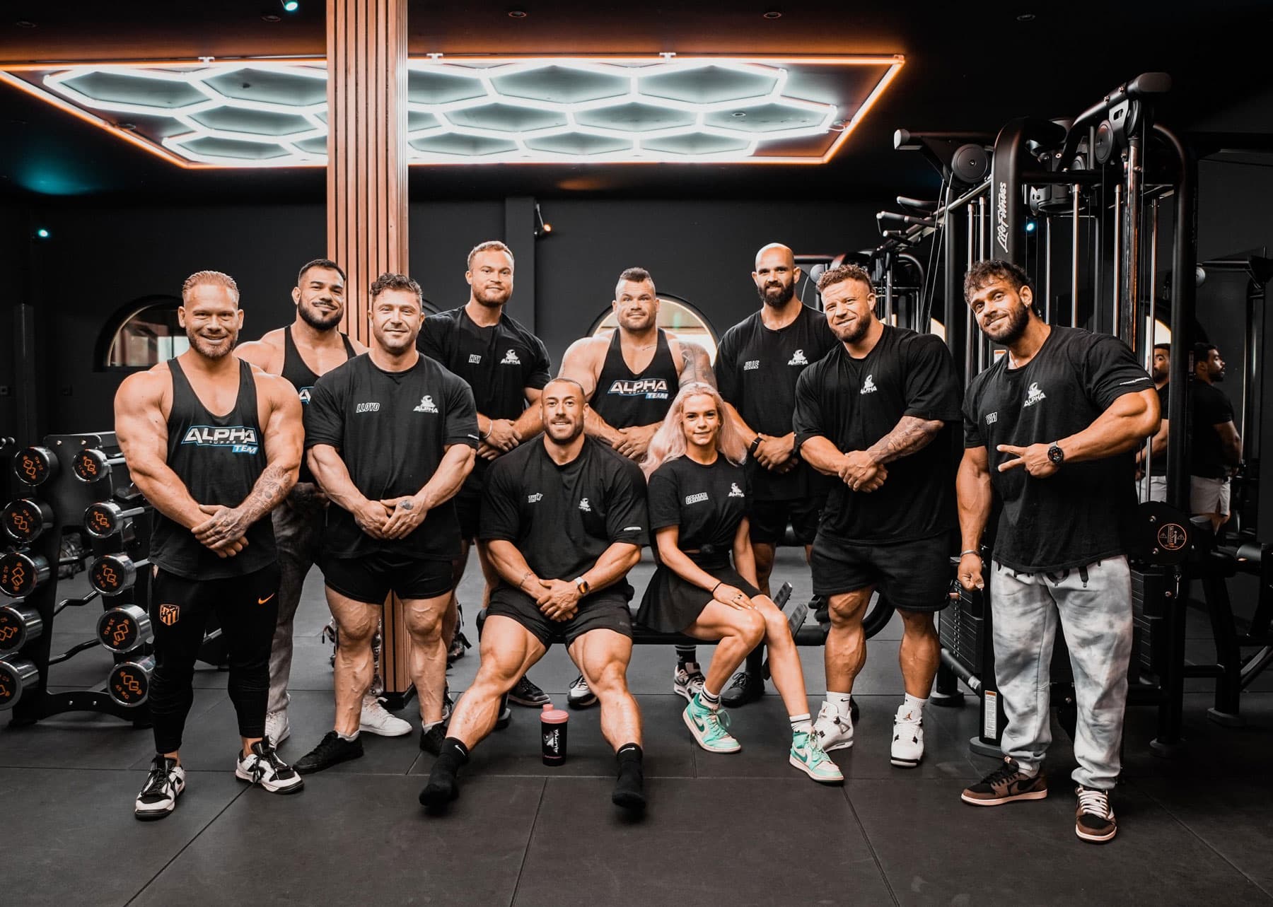 Alpha Supps - Sports & Fitness Supplements - image 1