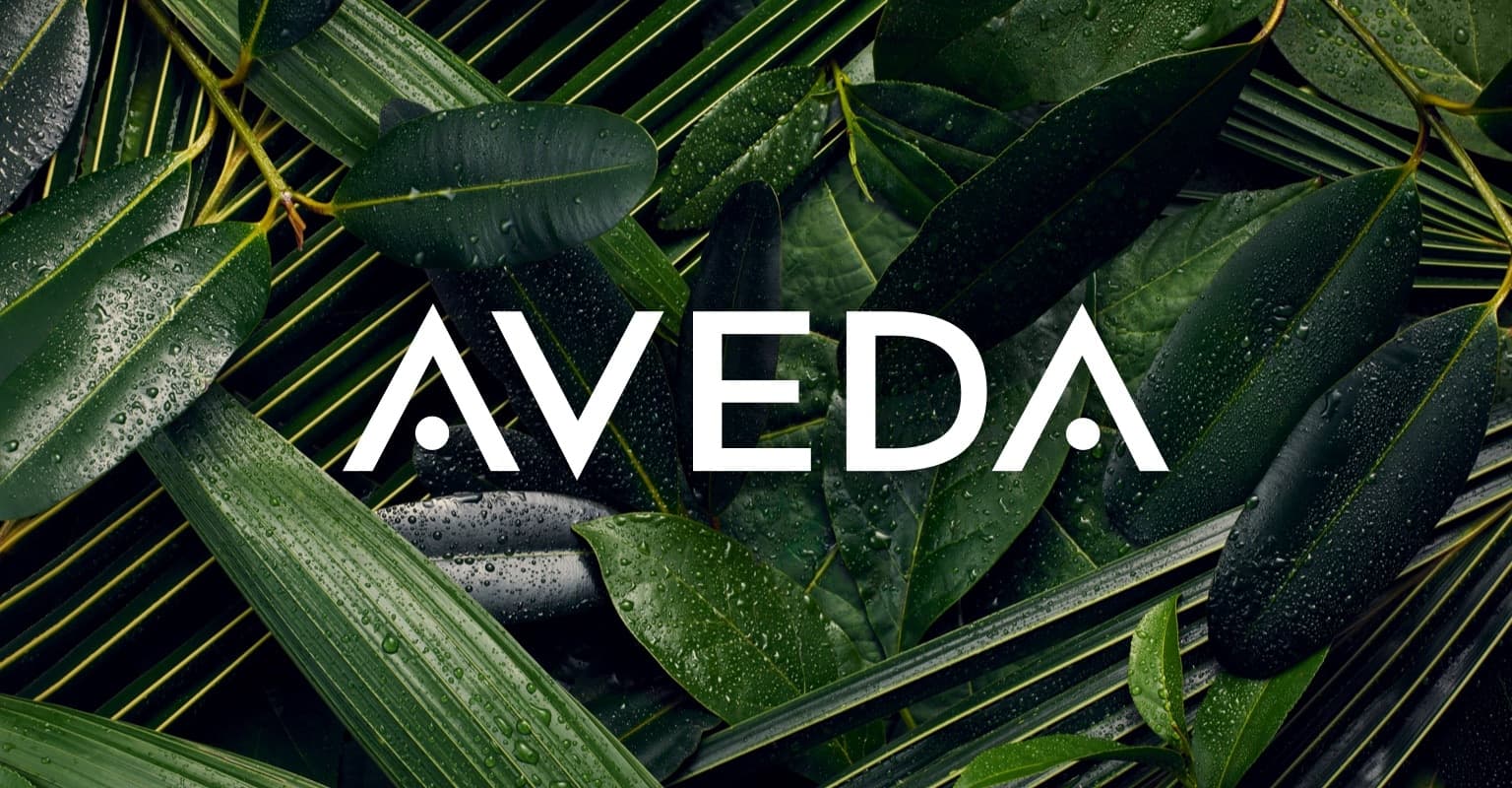 Aveda Natural Hair and Skin Care Products - image 1
