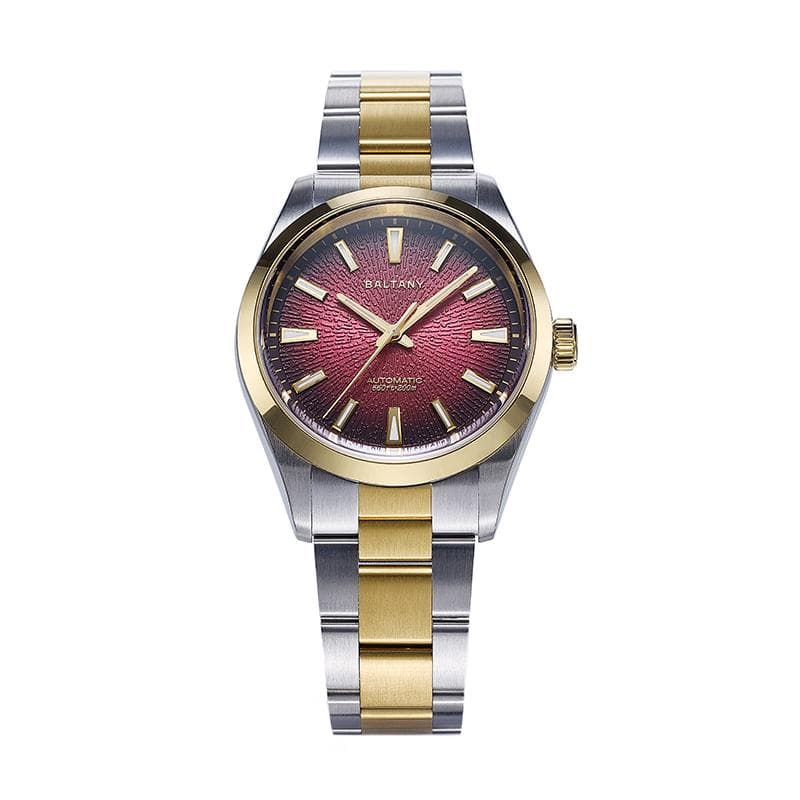 Baltany Design 3D Smoked Dial NH38 Automatic Sports Watch S4105 - image 1