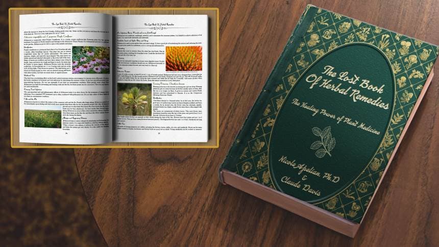 The Lost Book Of Herbal Remedies - Physical and Digital Edition - image 1