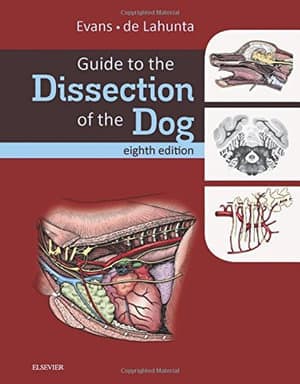 Guide to the Dissection of the Dog - image 1