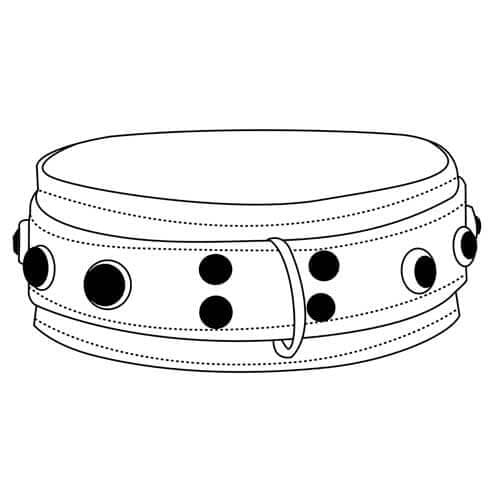 Double Strap Collar - image 1