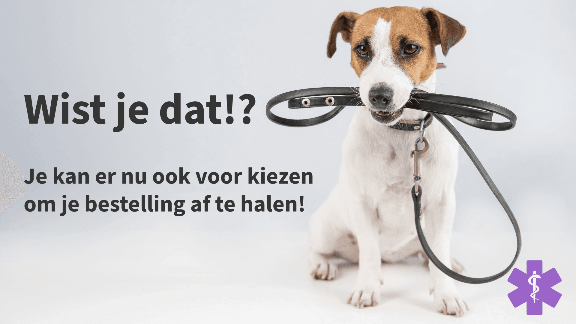 Dierenapotheek.nl - image 1