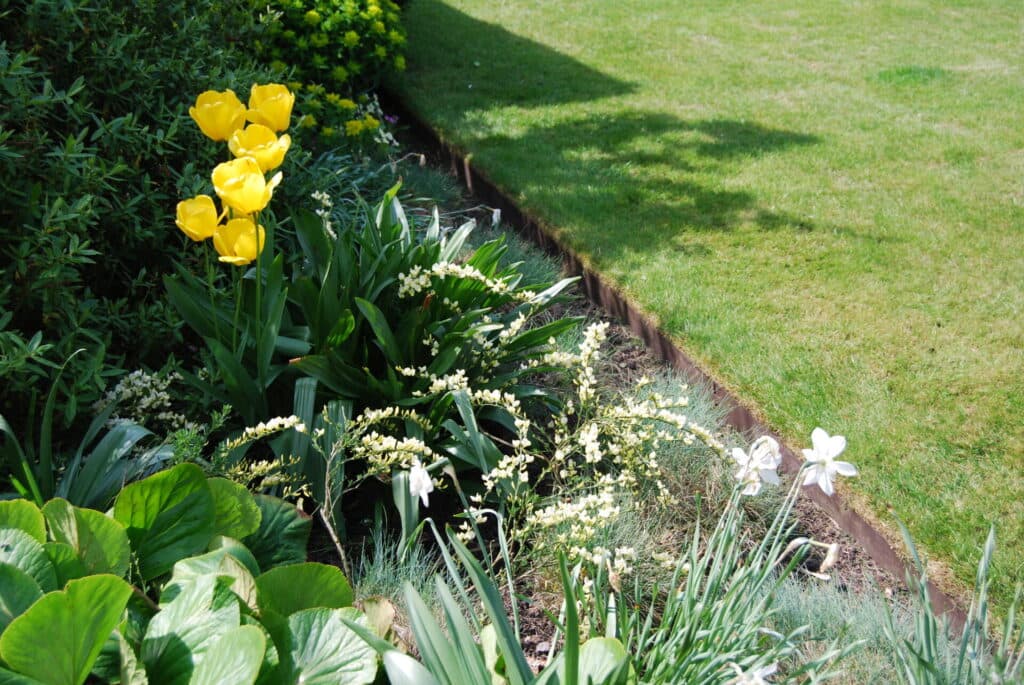 EverEdge CLASSIC Flexible Steel Garden Edging - image 1