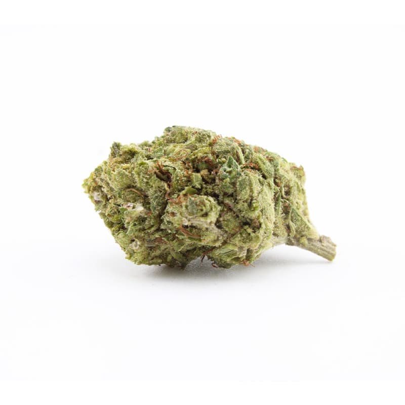 Venom OG H3 Turbo - image 1